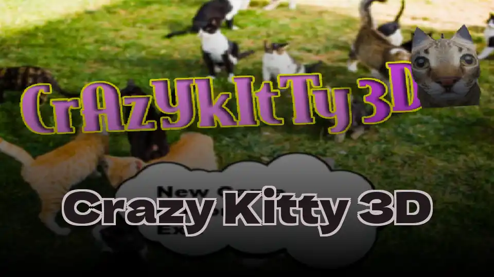 Crazy Kitty 3D